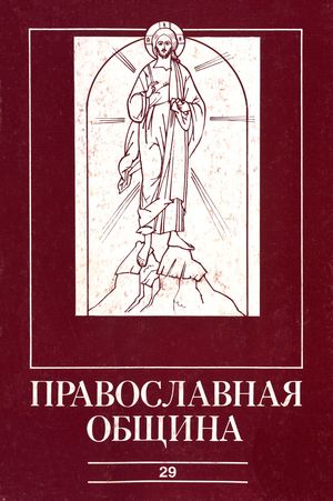 №29